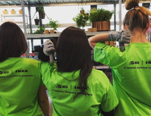IED WILL RESTYLE IKEA’S GLASS HOUSE